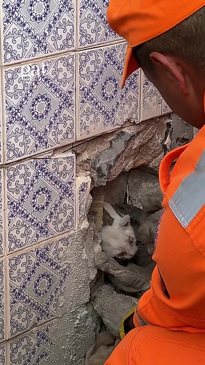 Rafaela chamou os bombeiros para resgatar Valen.
