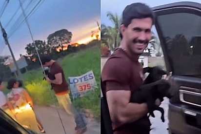 Homem trafegava em via movimentada, então viu duas vidinhas precisando de ajuda e não pensou duas vezes em resgatar.