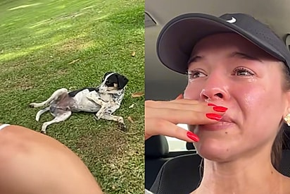 Casal sai para correr no domingo e volta para casa com um novo integrante na família após cão persegui-los pela estrada