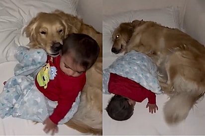 Mulher mostra sua rede de apoio fazendo bebê dormir e faz milhares rirem online.