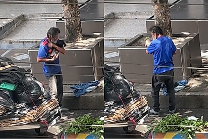 Mulher registra como catador de recicláveis trata seus cães e vídeo emociona.