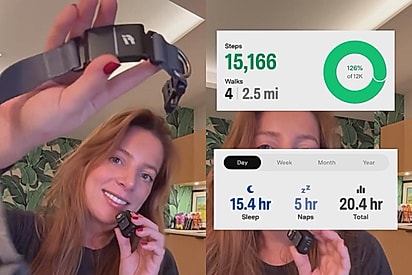 A coleira inteligente mostra vários dados sobre o cachorro, como as horas de sono e quantidade de passos.