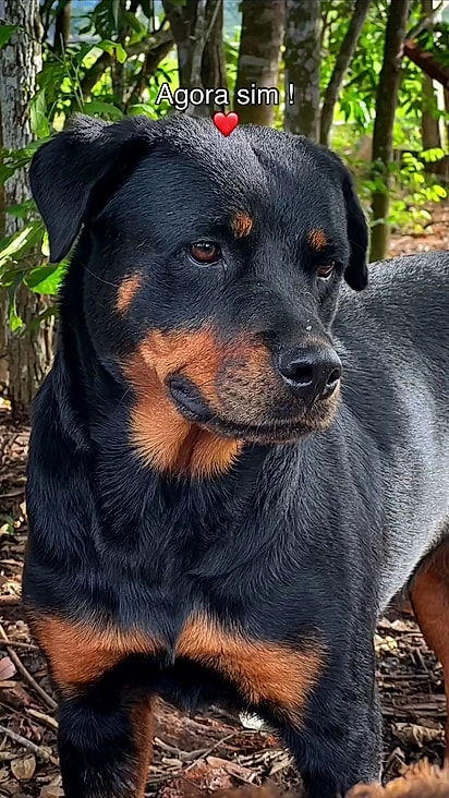 Ao contrário do que pensavam ela não é agressiva.