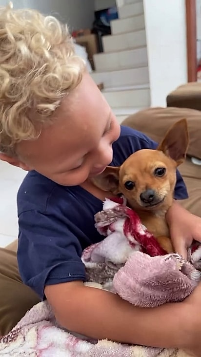 O cãozinho não estava a fim de dormir.