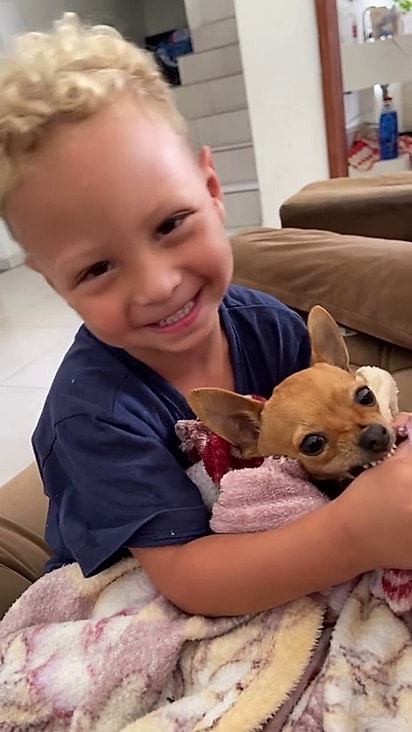 Emmanoel adora o pinscher.