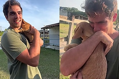 “Sempre quis ter um: ator cai no choro ao realizar sonho de infância e conexão com pet comove fãs