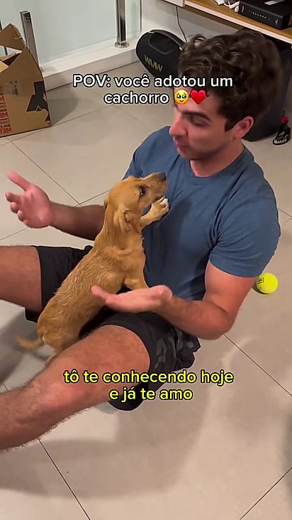 A conexão entre pet e tutor foi instantânea.