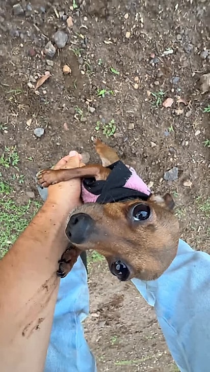 Isadora, toda molhada, após a aventura.