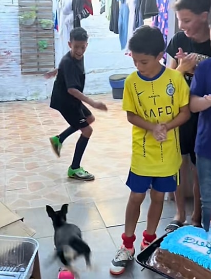 A cadelinha Mayse começou a correr atrás dos convidados.