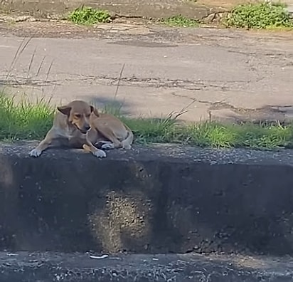 O caramelo não saiu dali em nenhum momento.