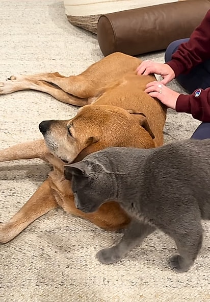 River se tornou muito mais carinhoso com o irmão.