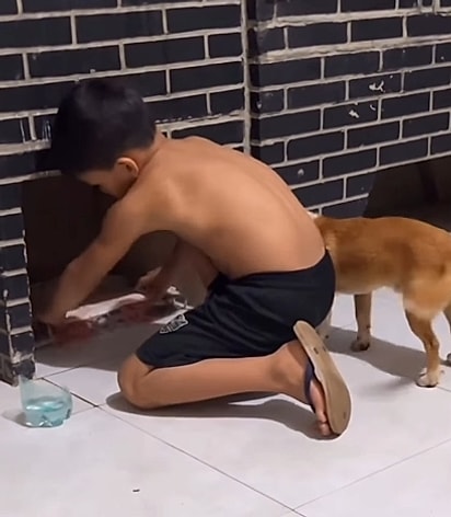 João arrumou um cantinho para deixar o cão mais confortável. 