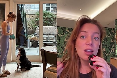 Jovem compra coleira inteligente para pet e descobre por que a cadela não estava emagrecendo, mesmo passeando