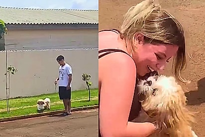 Cachorrinho reencontra tutora após dois meses de recuperação médica e reação emociona a web