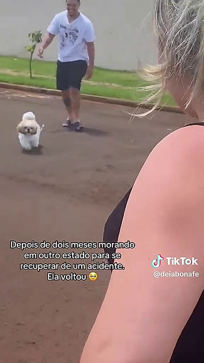 Ao perceber quem caminhava na rua o cão foi correndo ao encontro.