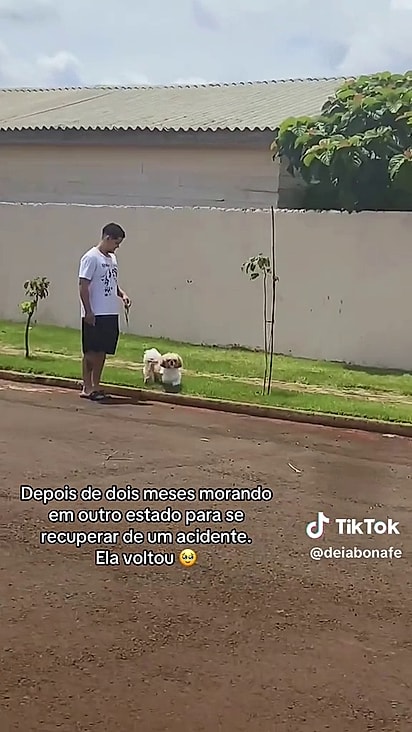O cão demorou um instante para reconhecê-la.
