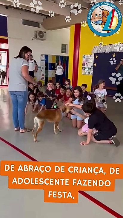As crianças amaram a notícia sobre o mascote.