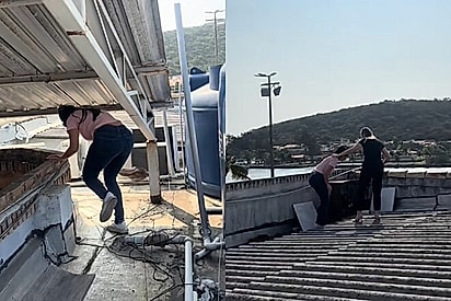 As duas gatinhas tricolores foram parar em um telhado alto.