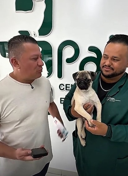 Cajuzinho passou por uma transformação incrível e, o melhor de tudo, ganhou uma família para chamar de sua.