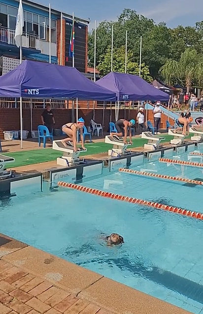 Brinjal saltou na água antes do sinal, mas esperou pelas crianças.