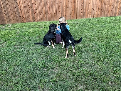 Hoje Candy vive cercada de amor ao lado da nova tutora e do irmão Buddy.