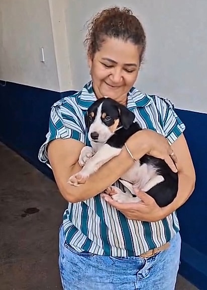 O cachorrinho foi adotado no mesmo dia do resgate e ganhou o nome de Rambo.