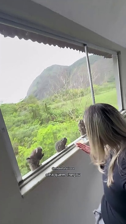 Os macacos reuniram a família para o café da manhã.