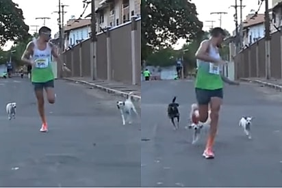 “O melhor incentivo”: Atleta é seguido por gangue de vira-latas e cena vira destaque da prova.