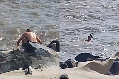 Guarda-vidas civil se arrisca em mar agitado para salvar filhote de gato.