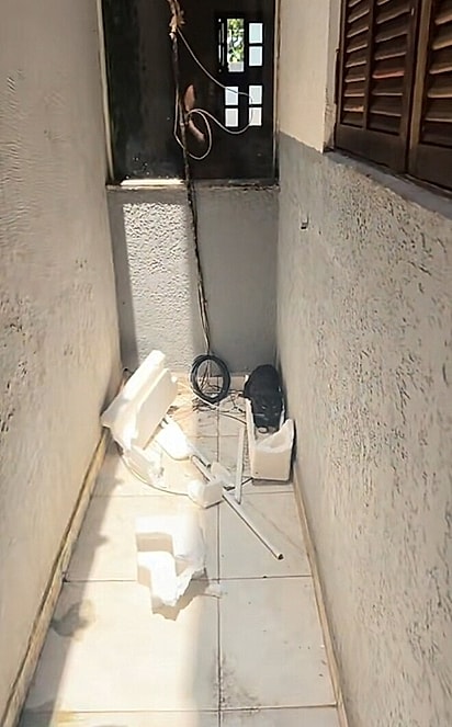 Gabriel, o gato, caiu no pátio de Sthefany.