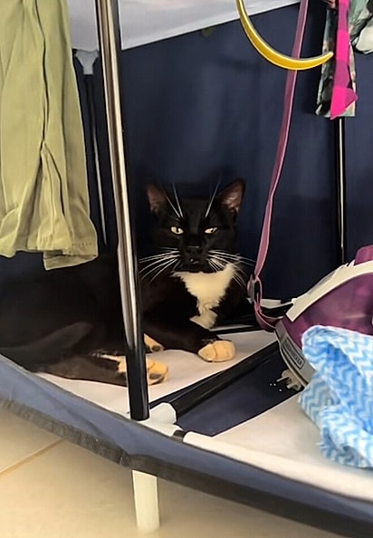 Gabriel estava dormindo no armário dela.