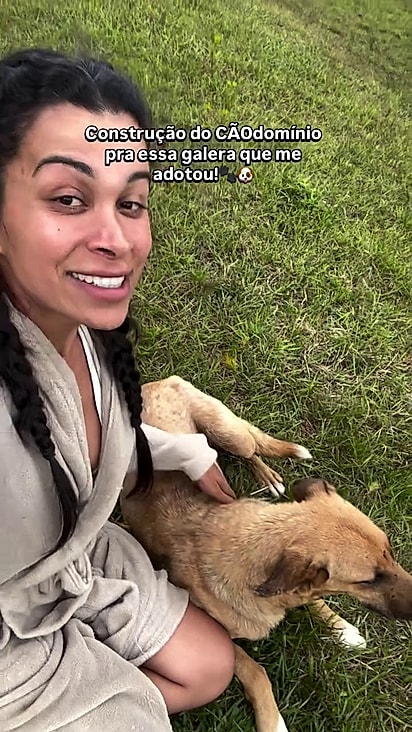 A cachorrinha sabia que era um bom lugar para seus filhotes.