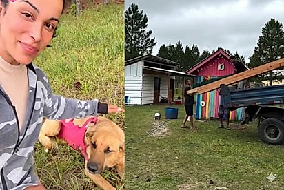 De um prato de comida a um ‘CÃOdomínio’: gaúcha constrói vila para abrigar cadela e nove filhotes surpresa
