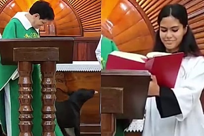 “Cãotólico”: padre tenta manter a seriedade enquanto cachorro puxa sua veste em vídeo viral