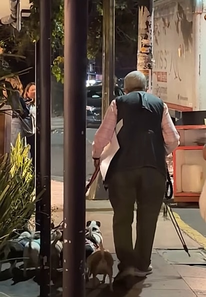 Mari Carmen, de 77 anos, passeava com seus cães.