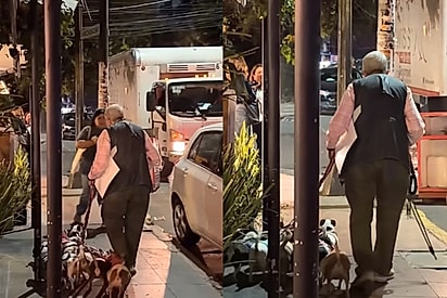 Idosa de 77 anos encanta ao ser vista passeando com nove cães resgatados: “Se você tem animais, tem que cuidar”