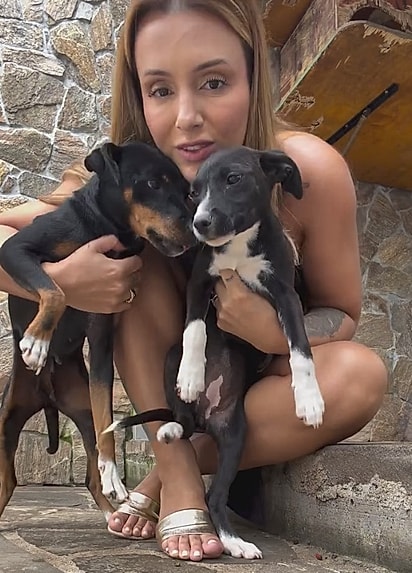 Dois dos cães ainda esperam por um lar.