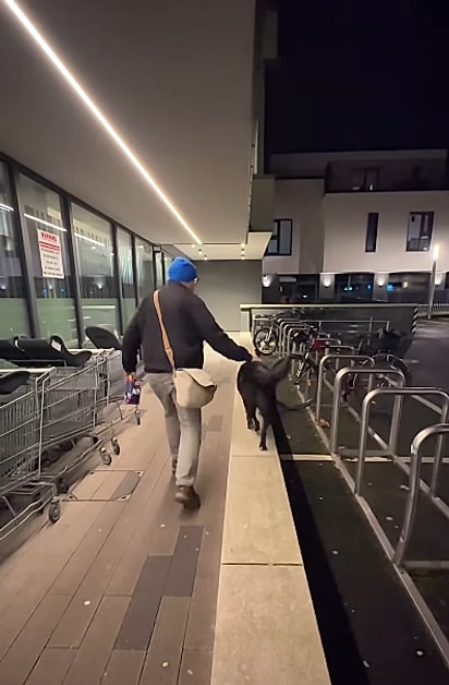 Ele só ficou tranquilo ao encontrar o tutor.