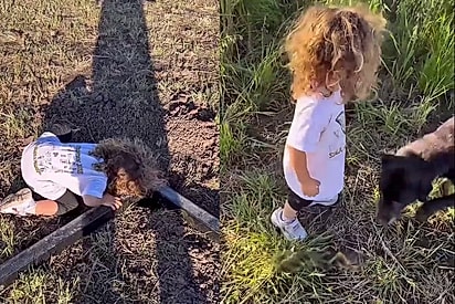 “O exemplo arrasta”: Criança age com empatia e salva ratinho em passeio com o pai.