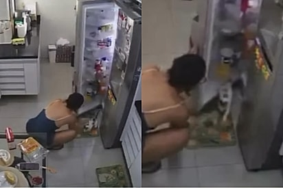 Mulher fica sem acreditar ao encontrar seu gato dentro da geladeira.