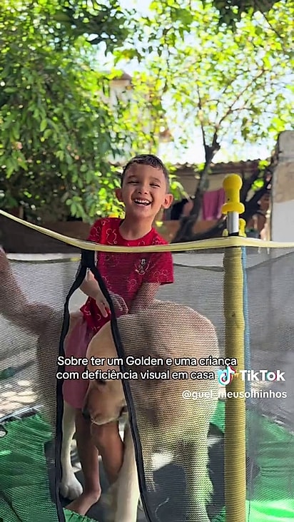 O cachorro não passou por treinamento.