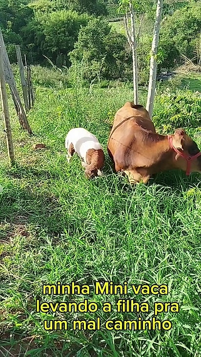Amabel recuperou a disposição após ganhar uma filha.