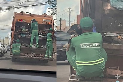 De dentro do carro, mulher flagra como gari leva cachorrinho vira-lata em cima de caminhão e cena chama a atenção