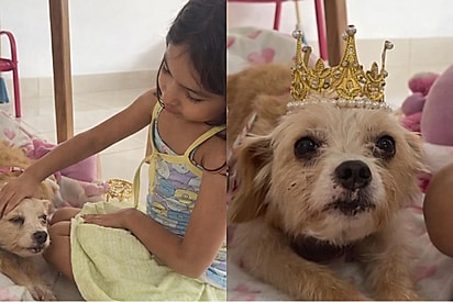 Criança se emociona ao descobrir motivo dos olhos turvos de sua cachorrinha.