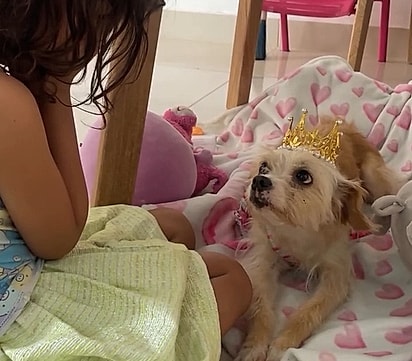 Isa se emocionou ao descobrir o motivo dos olhos turvos da Lulú.