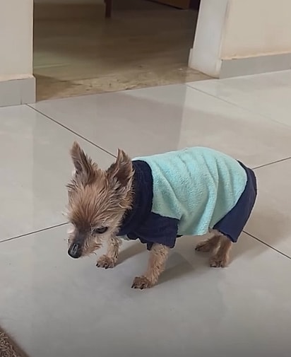 Embora o corpo de Keko resistisse, a mente já dava sinais de cansaço.