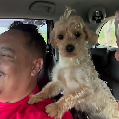 Keila e o marido viajaram cerca de 40 km até a casa da família que adotou os cães.