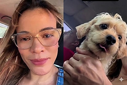 Mulher doa seus dois cães, se arrepende e viaja mais de 40 km para buscá-los de volta.