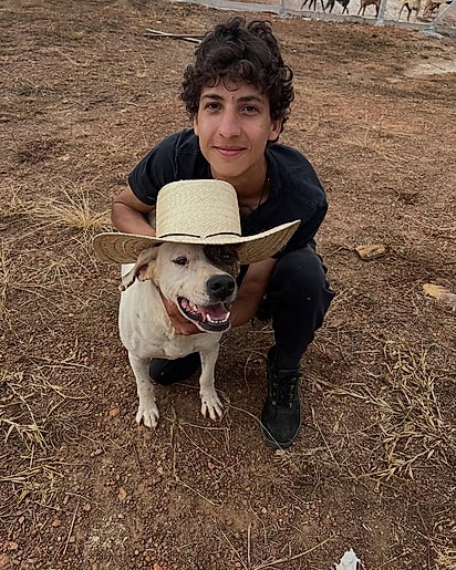 Boi, o ccahorro que a mãe de Eduardo amava.