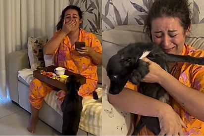“Você vai me dar mesmo?”: Filho surpreende mãe enlutada com novo cachorrinho e reação emociona.